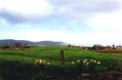 View from the house over the fields to the mountains