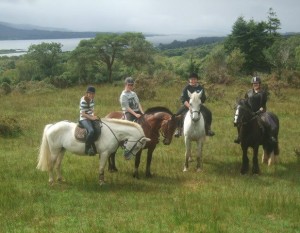 Dromquinna Stables